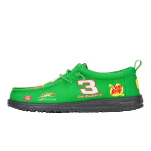 Wally NASCAR Dale Earnhardt JR. ÿ Green/Multi